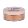 Revlon Photoready Candid Pudră pentru femei 15 g Nuanţă 002