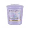 Yankee Candle Sweet Nothings Lumânări parfumate 49 g