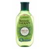Garnier Botanic Therapy Green Tea Eucalyptus &amp; Citrus Șampon pentru femei 250 ml