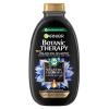 Garnier Botanic Therapy Magnetic Charcoal &amp; Black Seed Oil Șampon pentru femei 400 ml