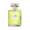 Chanel N°19 Apă de parfum pentru femei 100 ml Cutie cu defect