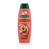Palmolive Naturals Hydra Balance 2in1 Șampon pentru femei 350 ml