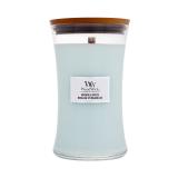 WoodWick Magnolia Birch