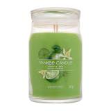 Yankee Candle Signature Vanilla Lime