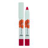 Max Factor Priyanka Matte Lip Crayon