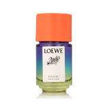 Loewe Paula's Ibiza Eclectic