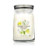 Yankee Candle Signature Midnight Jasmine