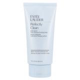 Estée Lauder Perfectly Clean Foam Cleanser & Purifying Mask