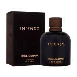 Dolce&Gabbana Pour Homme Intenso Apă de parfum pentru bărbați 125 ml