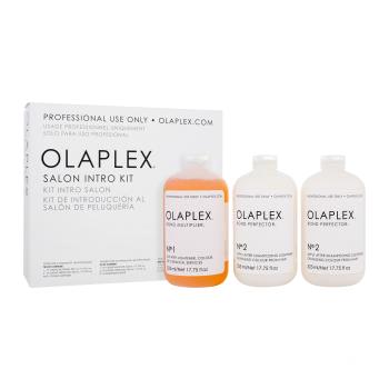 Olaplex Bond Multiplier No. 1 Salon Intro Kit