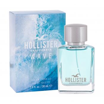 Hollister Wave