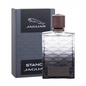 Jaguar Stance