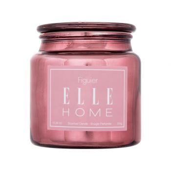 Elle Home Figuier