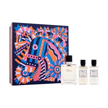 Hermes Terre d´Hermès