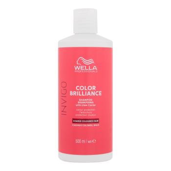 Wella Professionals Invigo Color Brilliance Coarse Hair