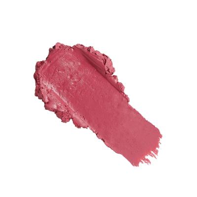 Revolution Pro New Neutral Satin Matte Lipstick Ruj de buze pentru femei 3,2 g Nuanţă Struck