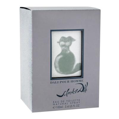 Salvador Dali Pour Homme Apă de toaletă pentru bărbați 100 ml