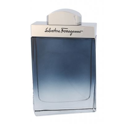 Ferragamo Subtil Pour Homme Apă de toaletă pentru bărbați 100 ml