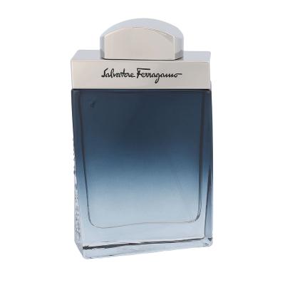 Ferragamo Subtil Pour Homme Apă de toaletă pentru bărbați 50 ml