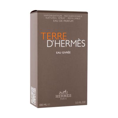 Hermes Terre d´Hermès Eau Givrée Apă de parfum pentru bărbați 100 ml