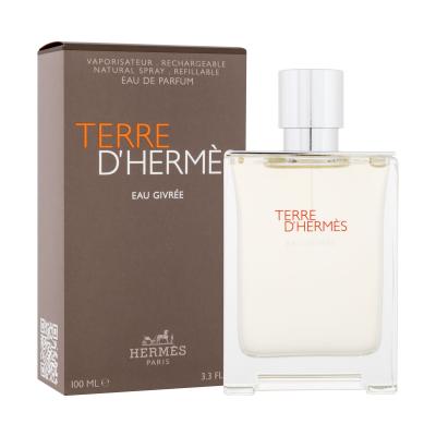 Hermes Terre d´Hermès Eau Givrée Apă de parfum pentru bărbați 100 ml