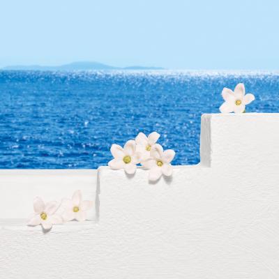 ESCADA Santorini Sunrise Set cadou Apă de toaletă 30 ml + geantă cosmetică