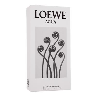 Loewe Agua Apă de toaletă 100 ml