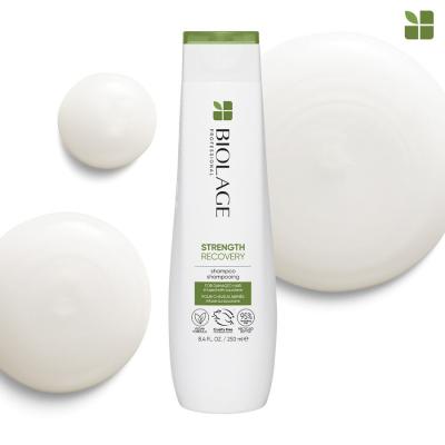 Biolage Strength Recovery Shampoo Șampon pentru femei 250 ml