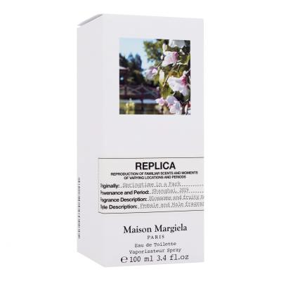 Maison Margiela Paris Replica Springtime in a Park Apă de toaletă 100 ml
