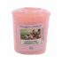 Yankee Candle Garden Picnic Lumânări parfumate 49 g