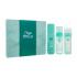 Wella Professionals Invigo Volume Boost Set cadou șampon Invigo Volume Boost 250 ml + mască de păr Invigo Volume Boost 145 ml + spumă pentru stilizarea părului Invigo Volume Boost 150 ml