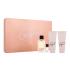 Michael Kors Gorgeous! Set cadou Apă de parfum 100 ml + apă de parfum 5 ml + loțiune de corp 100 ml + gel de duș 100 ml