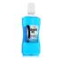 Zidac Laboratories Absolute Ice Coolmint Mouthwash Apă de gură 500 ml