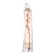 KENZO Flower By Kenzo Ikebana Mimosa Apă de parfum pentru femei 75 ml tester