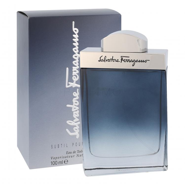 Ferragamo Subtil Pour Homme Apă de toaletă pentru bărbați 100 ml