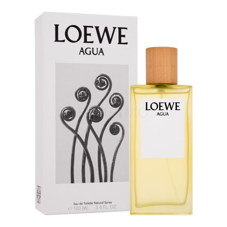 Loewe Agua Apă de toaletă 100 ml