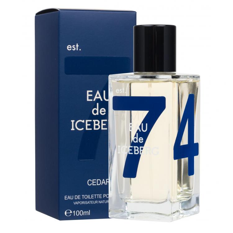 Iceberg Eau de Iceberg Cedar Apă de toaletă pentru bărbați 100 ml