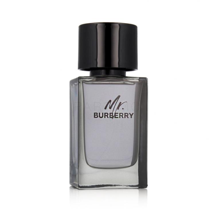 Burberry Mr. Burberry Apă de toaletă pentru bărbați 100 ml