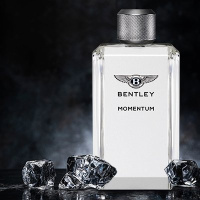 Bentley Momentum